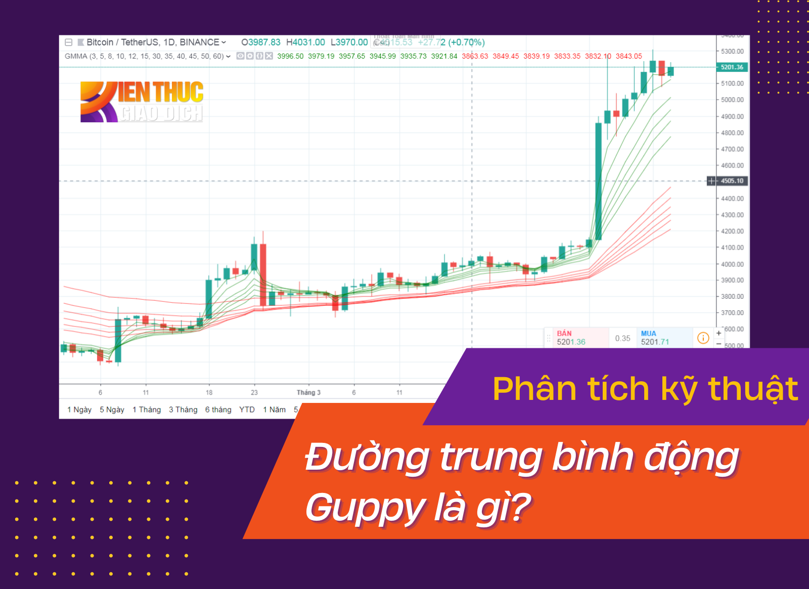 Đường trung bình động Guppy là gì?